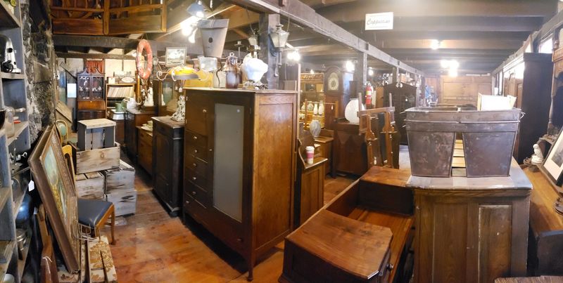 This Idaho Antique Shop Lets A Crew Of Rescued Cats Nap Among The Vintage Shelves - Decor Hint Talking About Price Tags
