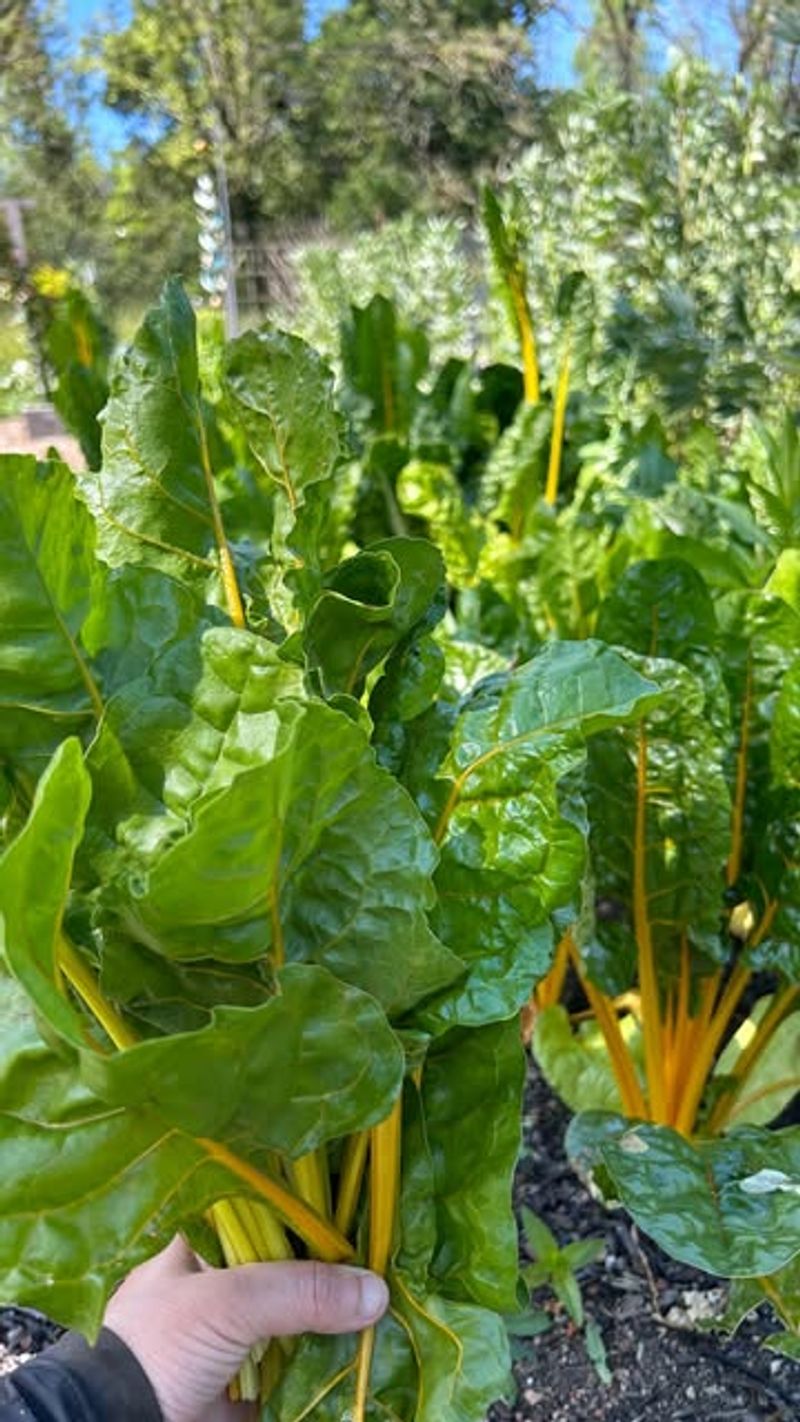 Use one simple rule for the fall harvest
