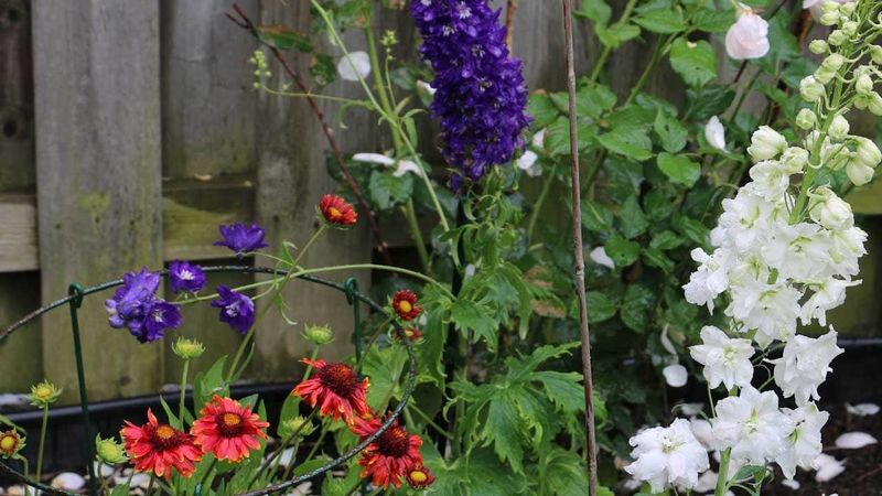Understand The Why: Forgo Seed Production