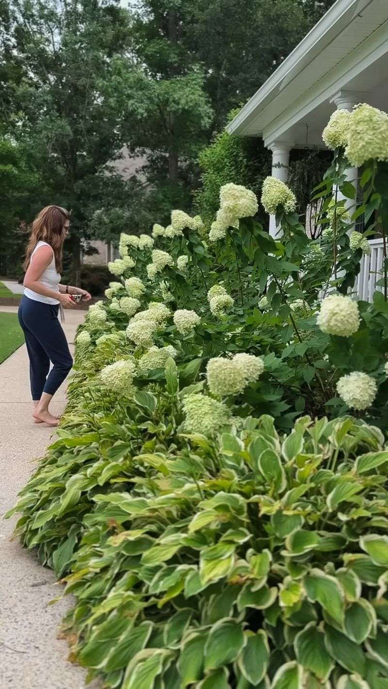 Protect healthy stems instead of making a universal September cut