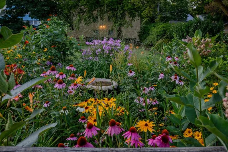 Build Layers Instead of a Single Row of Flowers