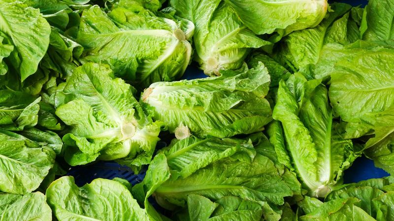 Leafy Greens