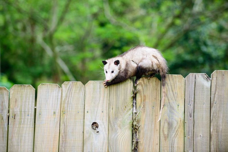Let the Visitor Pass—Then Remove the Invitation