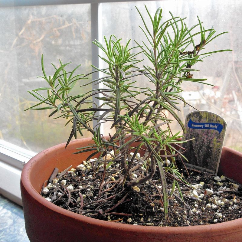 Let the evidence guide the next watering