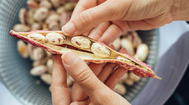 What shell beans actually are