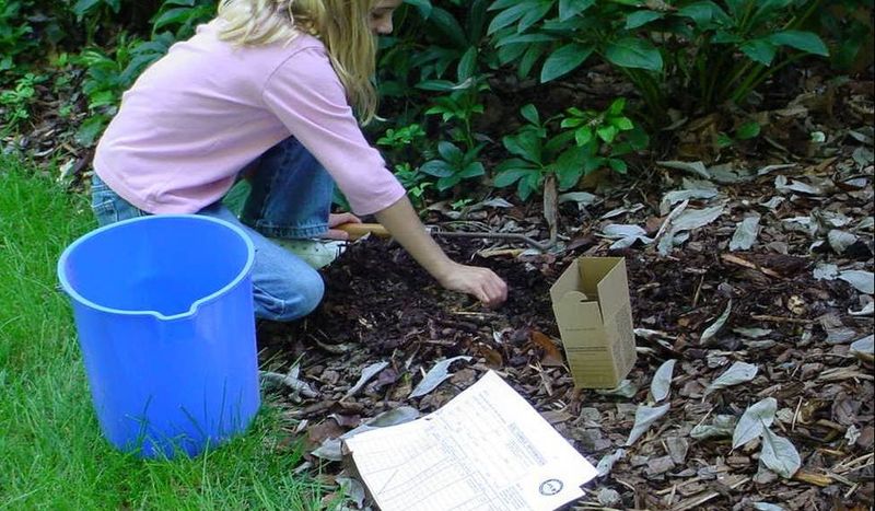 Start with a representative soil test