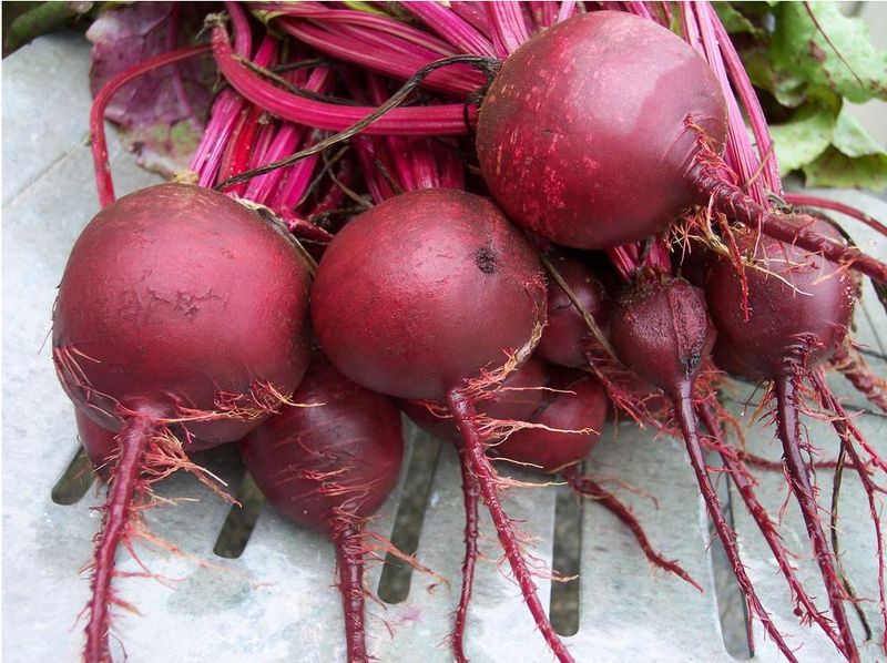 Pick Varieties Bred for Size