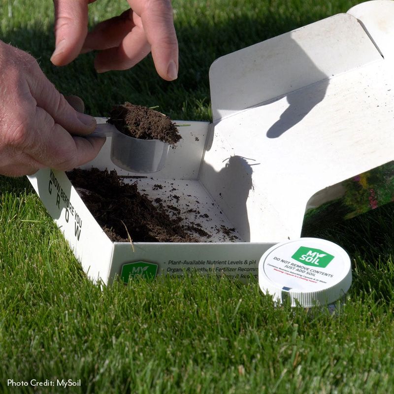 Test the Soil Before You Amend It