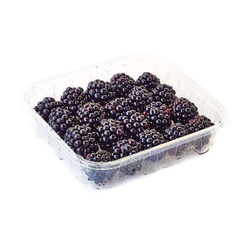 Blackberries (premium packs)
