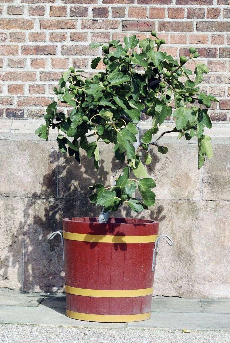 A Pot That Is Too Big