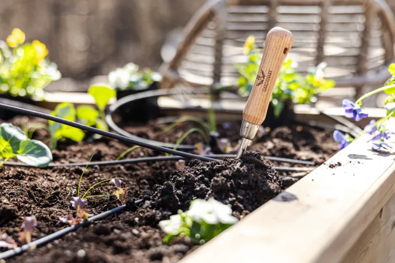 Letting Soil Dry Out and Bake