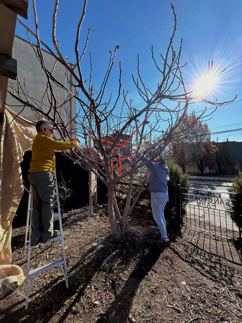 Dormancy, not the calendar, sets the window