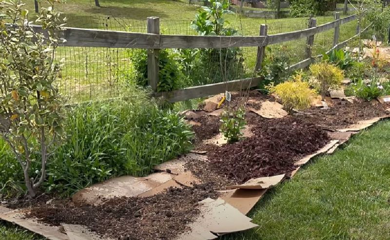 Prepare a clean, moisture-ready planting line