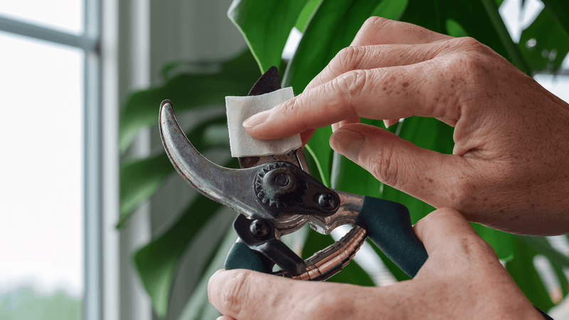 Using Dull or Dirty Pruning Tools