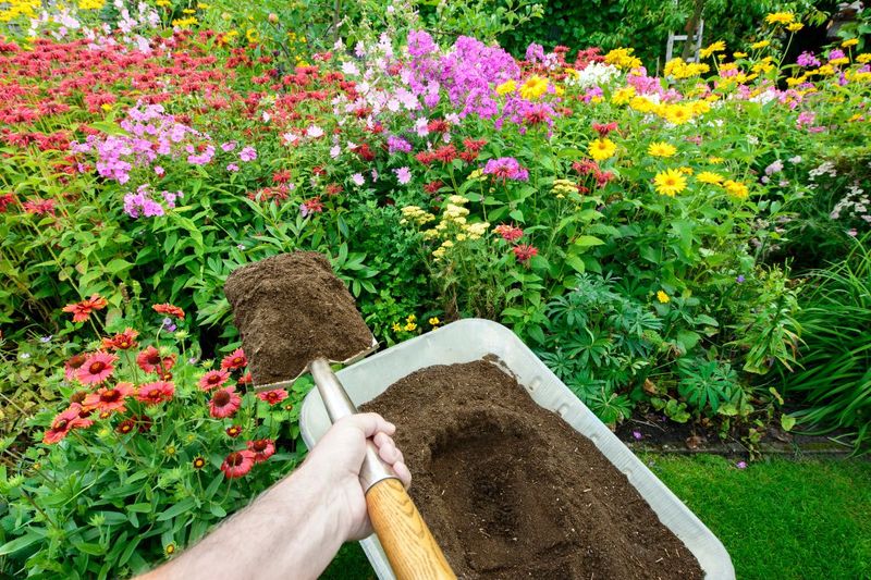 Add Compost, Skip the Strong Fertilizer