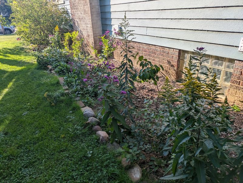 Cover can turn the foundation area into a protected route