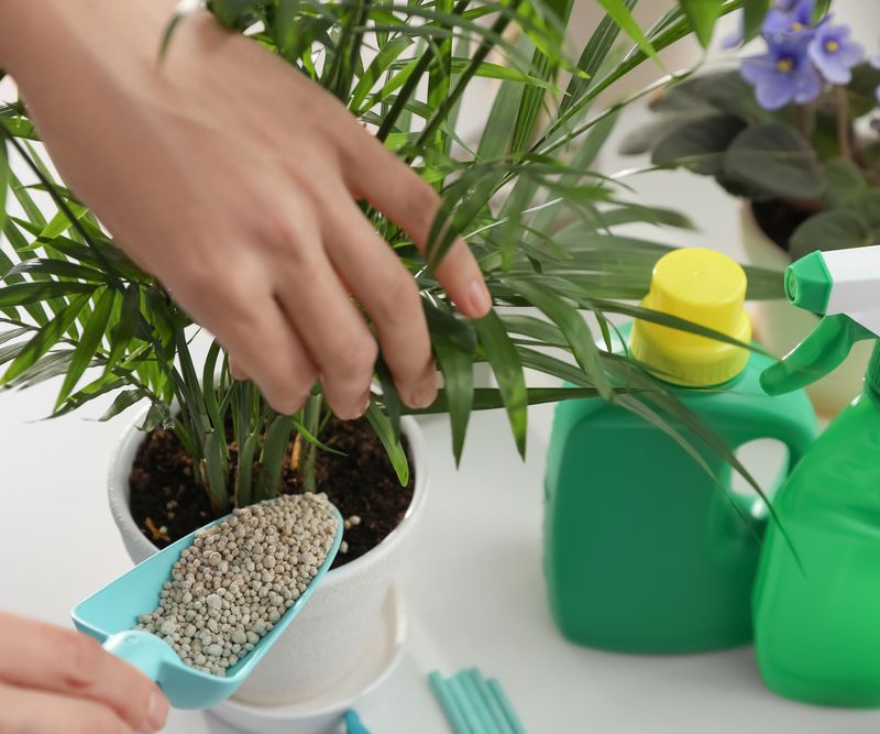 Water Deeply After Granular Feeding