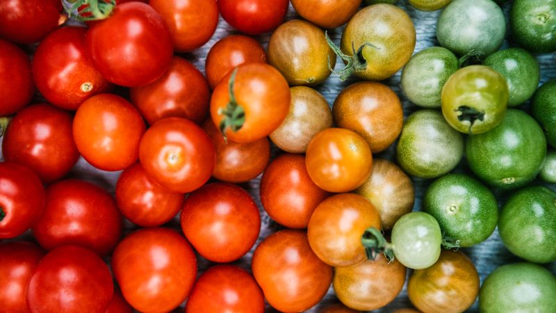 Choose a shaded, ventilated spot—not a sunny windowsill