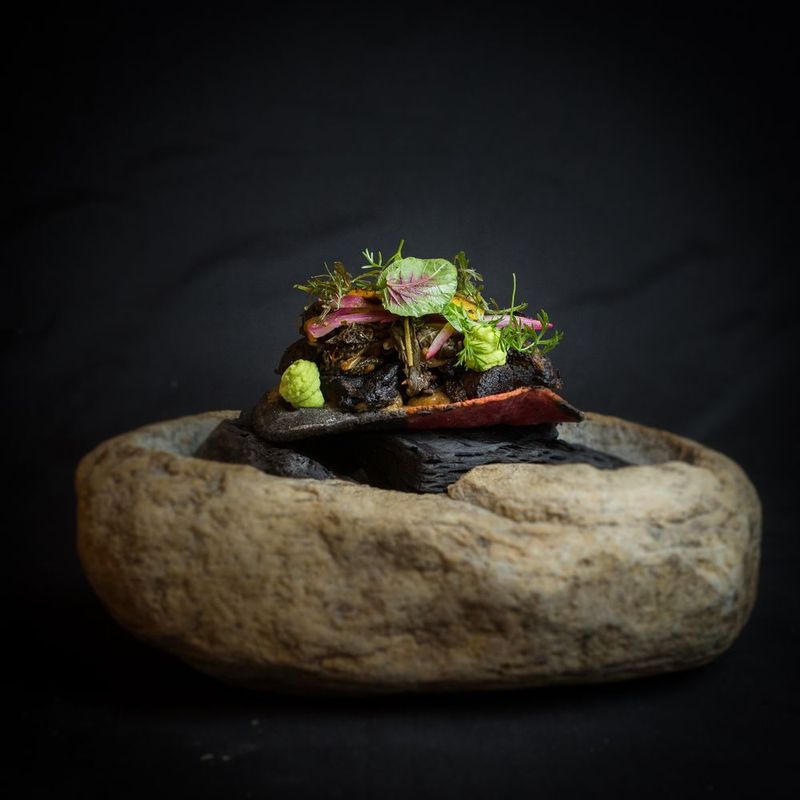 Teocintle-Tika’aya