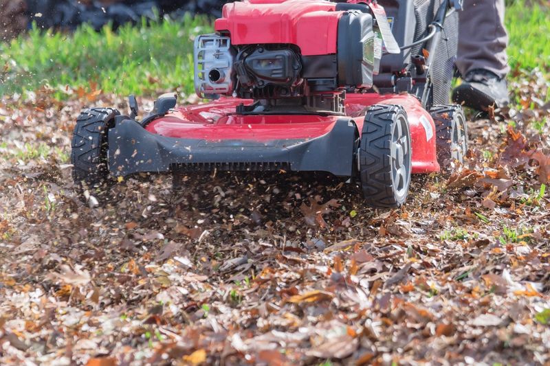 Skip the all-or-nothing leaf cleanup