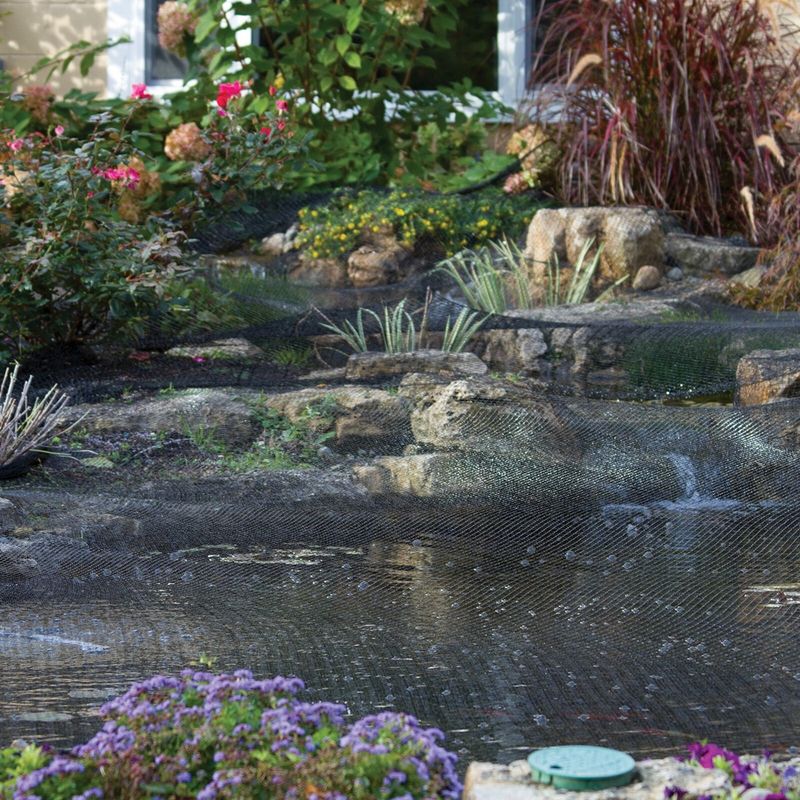 Protect pond fish by reducing access, not by punishing the heron