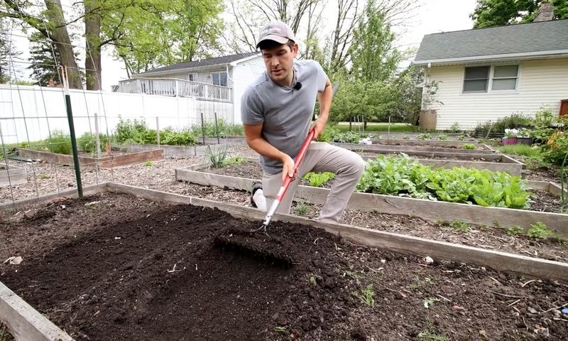 Check the root zone before blaming the soil supply