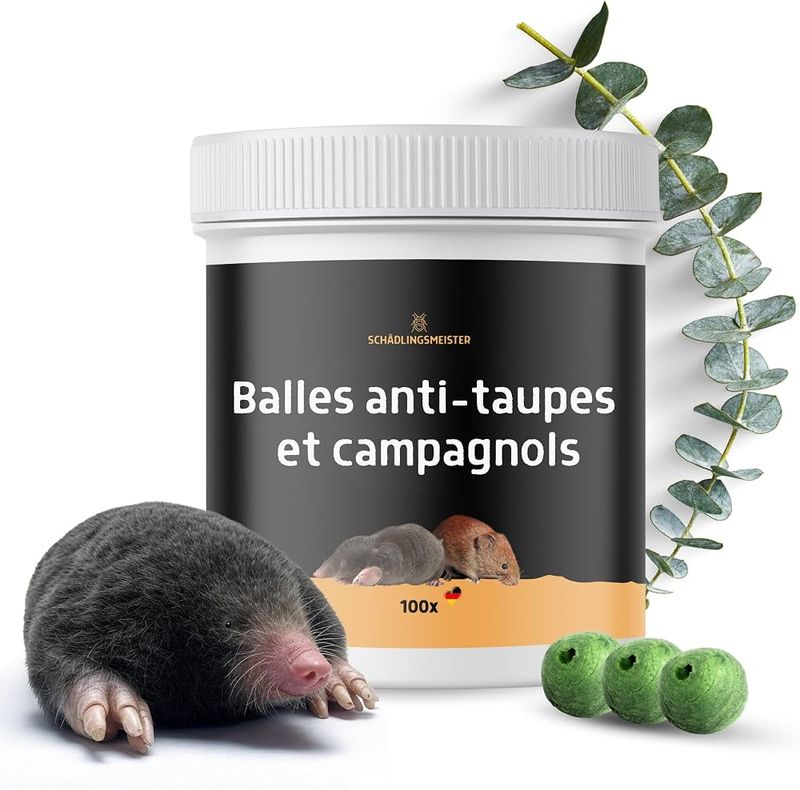 Eucalyptus Oil
