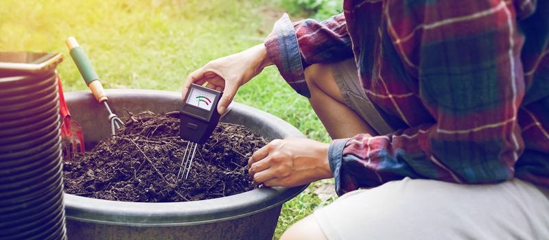 Never Testing Soil pH