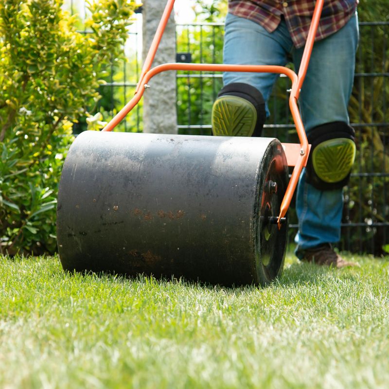 A roller is not a general fix for a rough lawn
