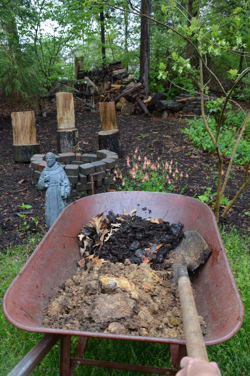 North Carolina soil conditions vary by region