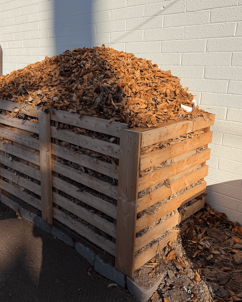 Give the pile a condition-based fall check