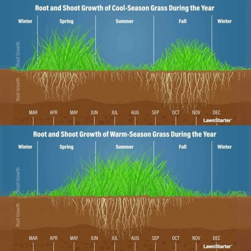 The right calendar depends on the grass