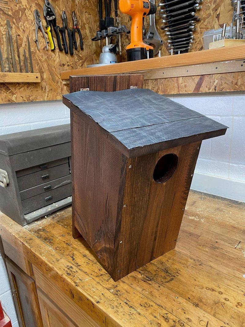 Build and install the box before nesting season