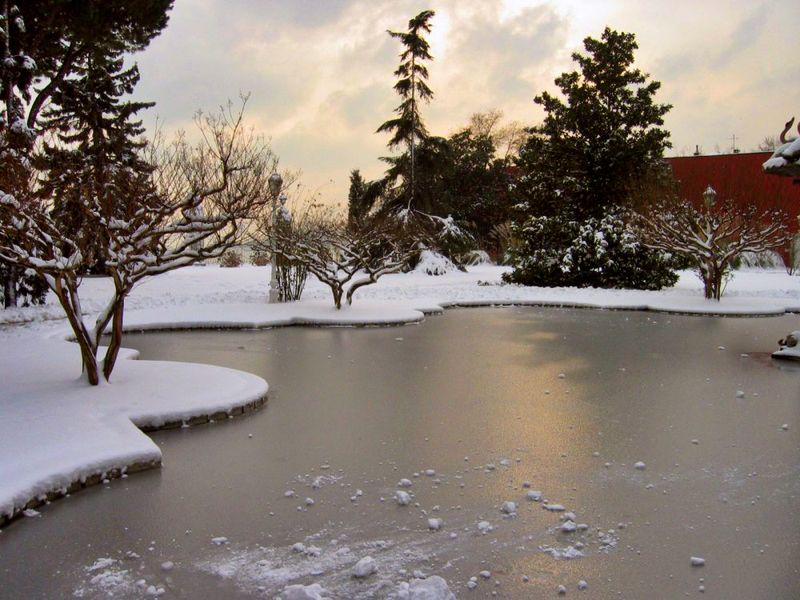 Manage snow and ice without endangering people or wildlife