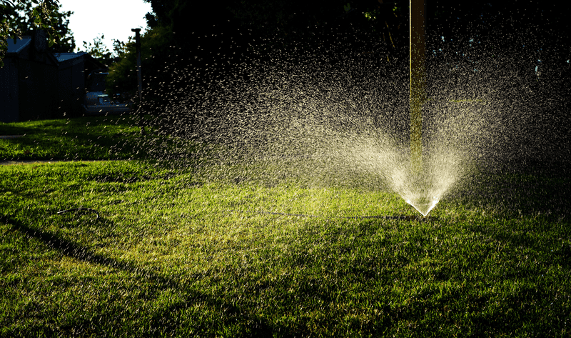Watering at the Wrong Time of Day