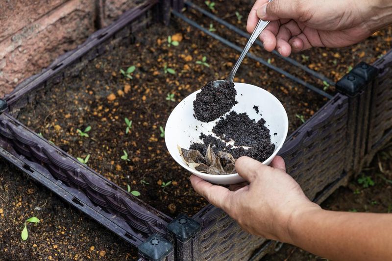 Coffee Grounds