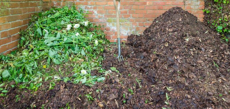 Cold composting trades speed for less pile management