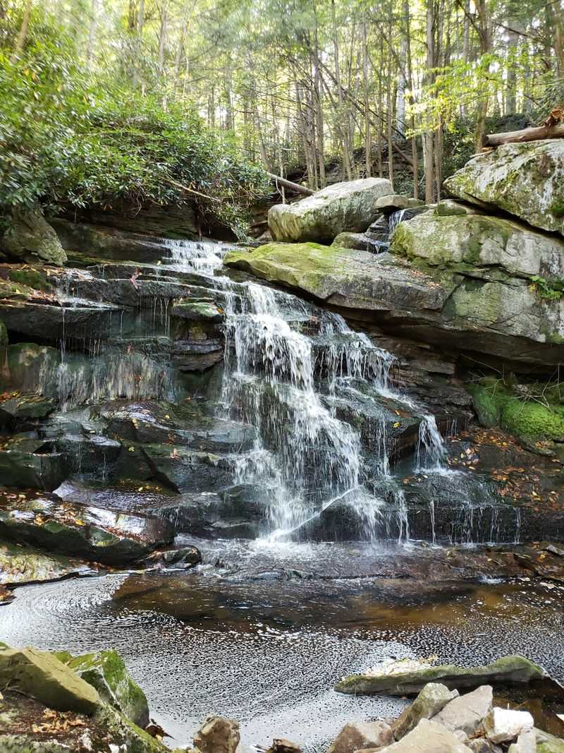 Elakala Falls And Its Tea-Colored Water