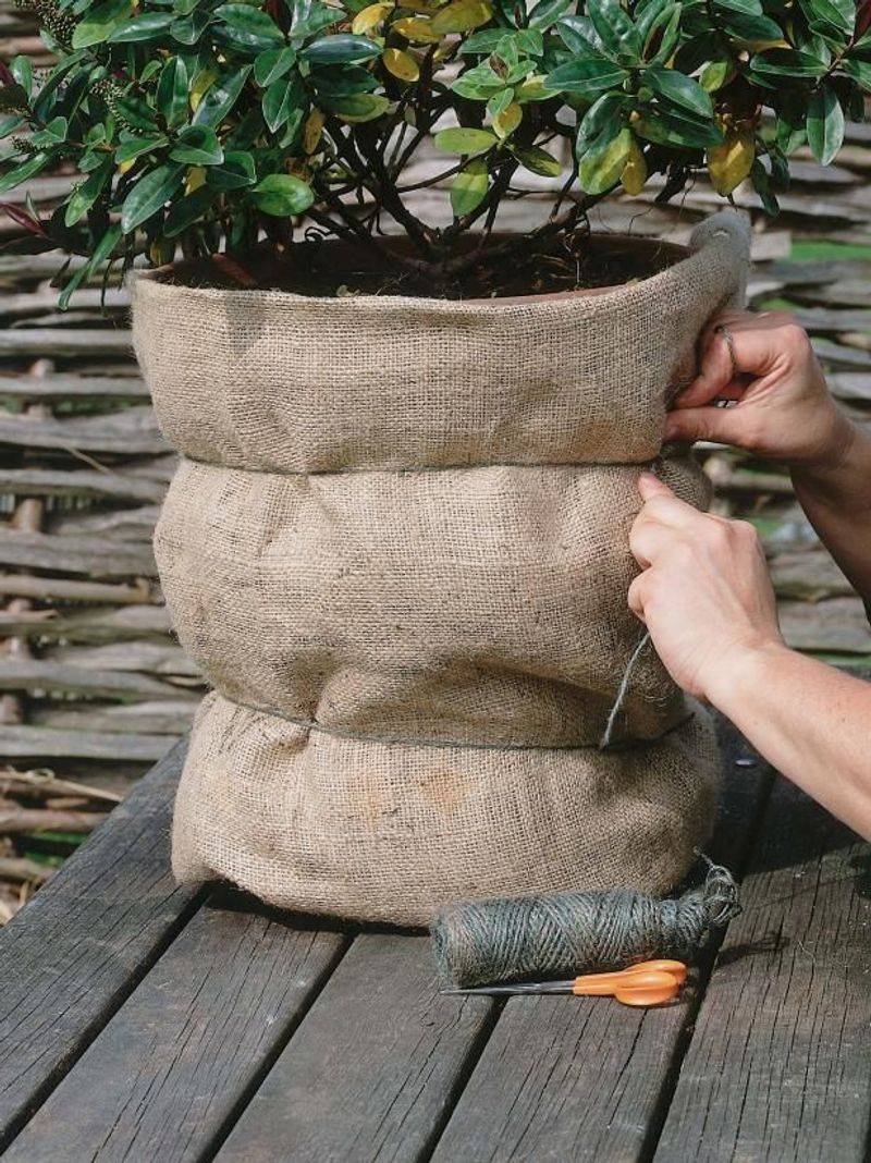 Wrap Pots in Burlap Instead of Plastic