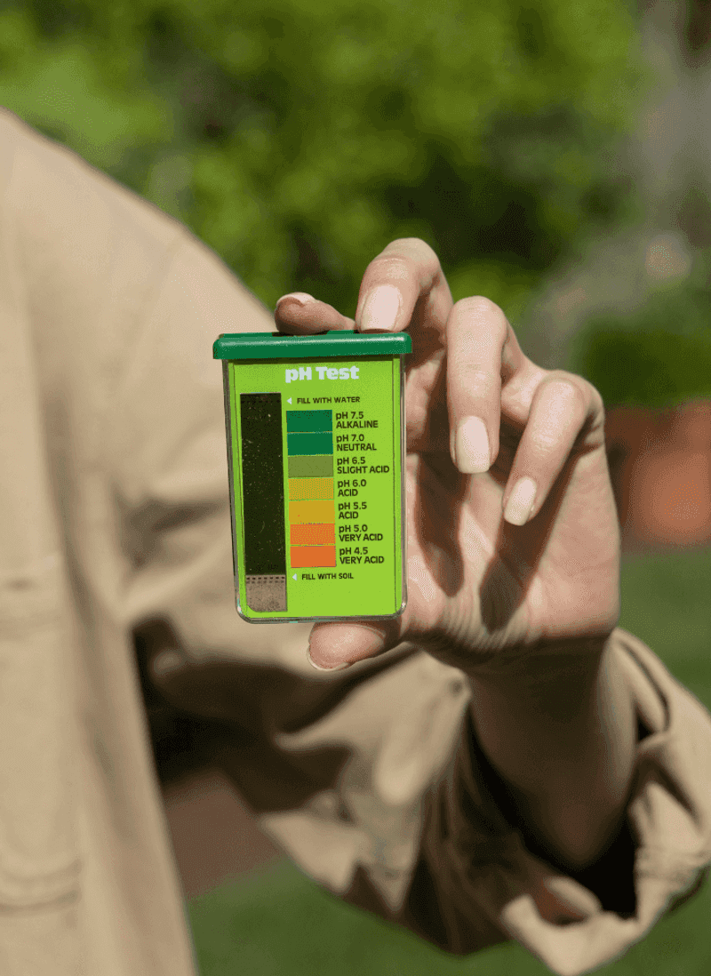 Check and Adjust Soil pH