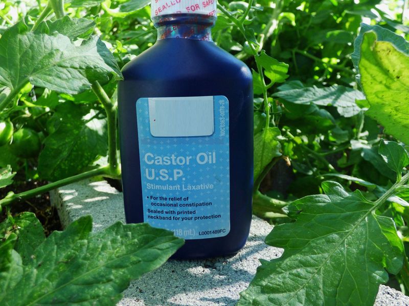 Castor Oil for Short-Term Relief