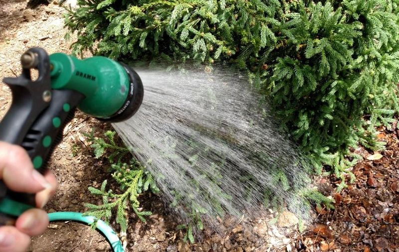 Keep Watering Until the Ground Freezes