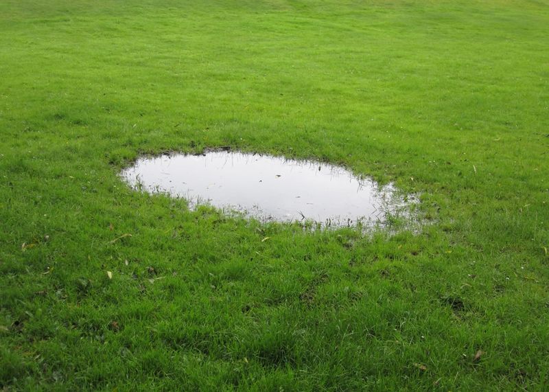 Water Pools or Runs Off the Surface
