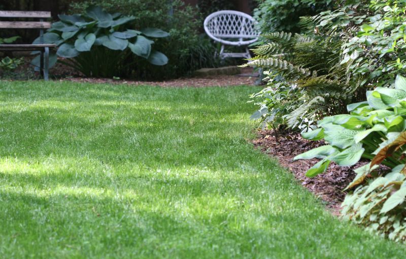 Let soil and site conditions guide the final decision