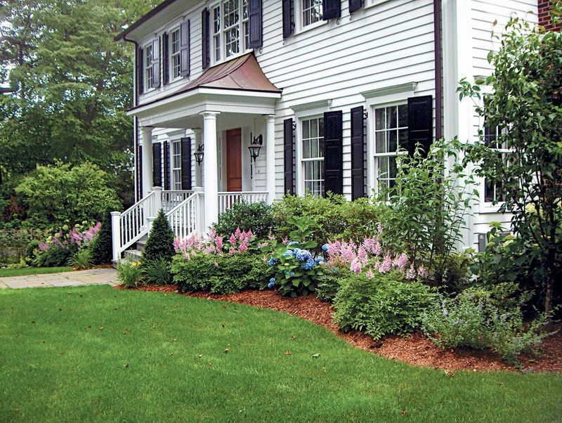 Foundation planting can visually anchor a tall facade