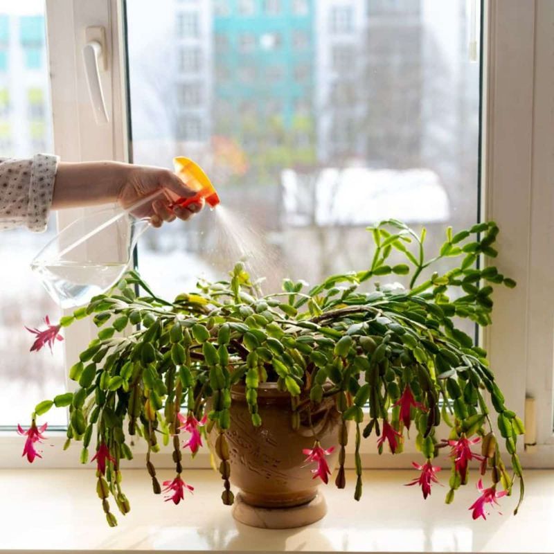 Watering Imbalances