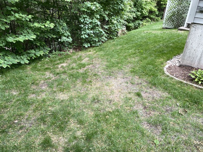Mistake: Choosing the Wrong Seed Type