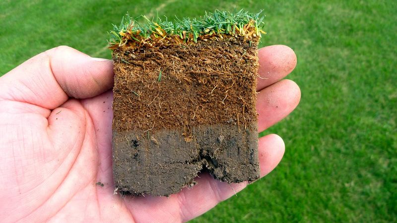 Start with a plug, not a power rake