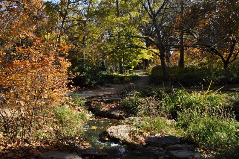 Protect the planting line while preserving native habitat