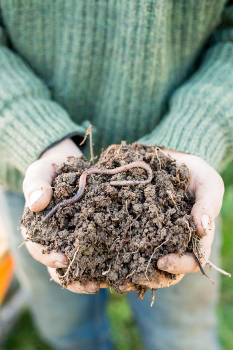 Expect soil helpers, not overnight fertilizer
